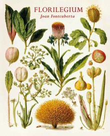Florilegium. Fontcuberta, Joan