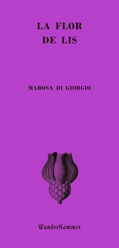 La flor de lis. Di Giorgio Marosa