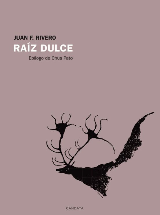 Raíz dulce. F Rivero, Juan